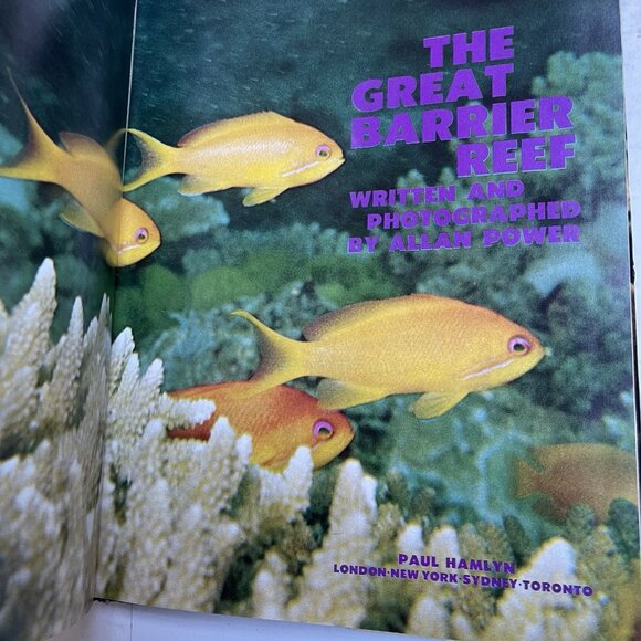 Great Barrier Reef Allan Power 1969 Vintage Fish Ocean - Picture 2 of 3